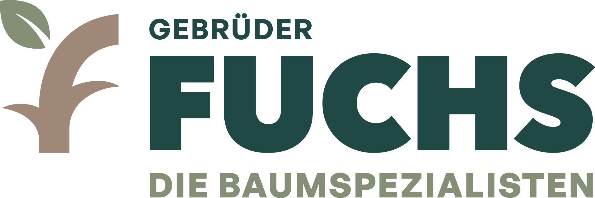 Gebrüder Fuchs – Die Baumspezialisten
